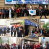 Paro ANEF 2015