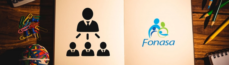 Estructura y Organizaci&oacute;n del Fondo Nacional de Salud