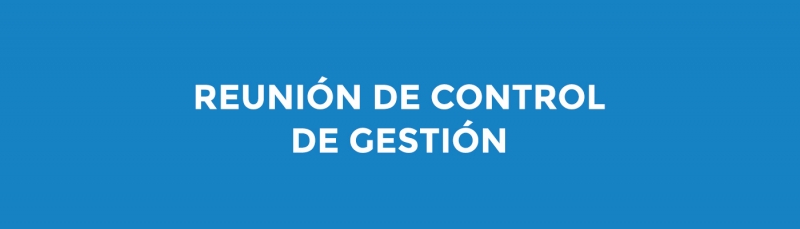 Reuni&oacute;n de Control de Gesti&oacute;n