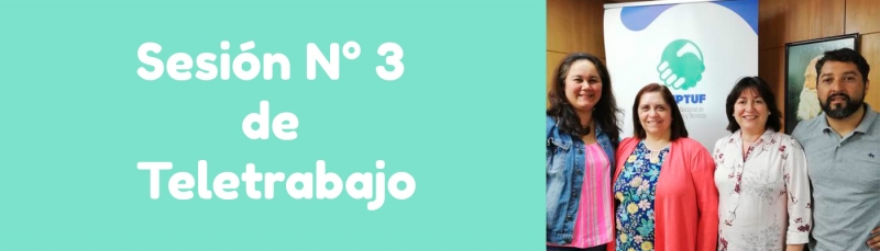 Sesi&oacute;n N&deg; 3 de Teletrabajo
